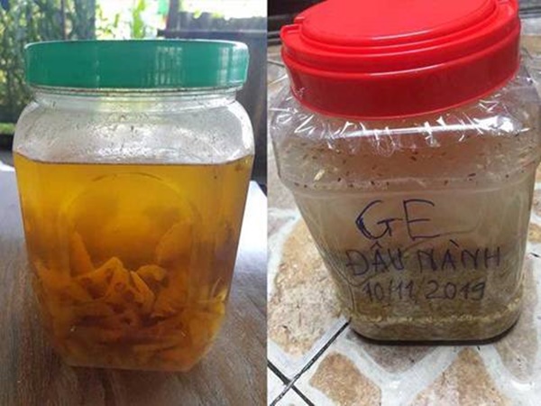 Cô gái Hà Tĩnh tiết lộ cách làm nước thần từ vỏ dứa, tưới tới đâu cây tốt tới đó-2