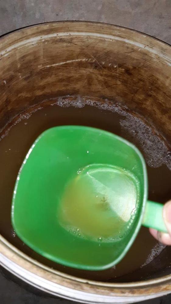 Cô gái Hà Tĩnh tiết lộ cách làm nước thần từ vỏ dứa, tưới tới đâu cây tốt tới đó-4