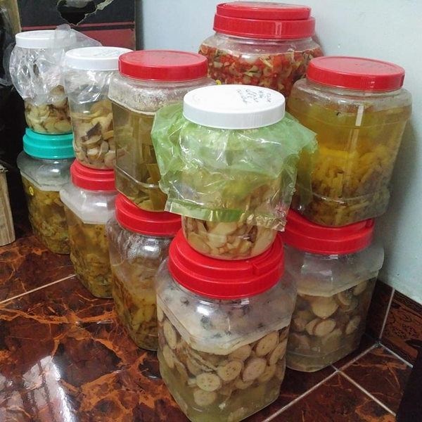 Cô gái Hà Tĩnh tiết lộ cách làm nước thần từ vỏ dứa, tưới tới đâu cây tốt tới đó-5