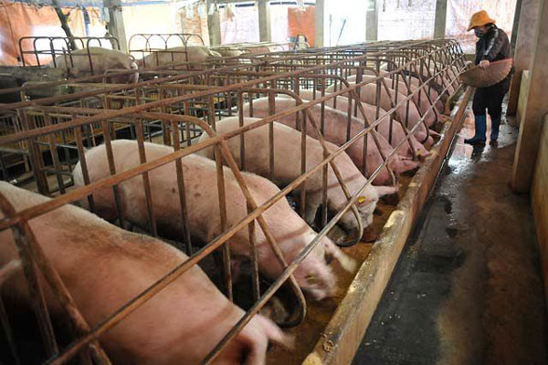 Bán thịt lợn ế ẩm, hàng loạt tiểu thương treo sạp, nghỉ chợ-10