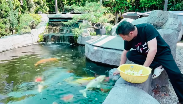 Chiêm ngưỡng hồ cá Koi của Bằng Kiều trên đất Mỹ-5