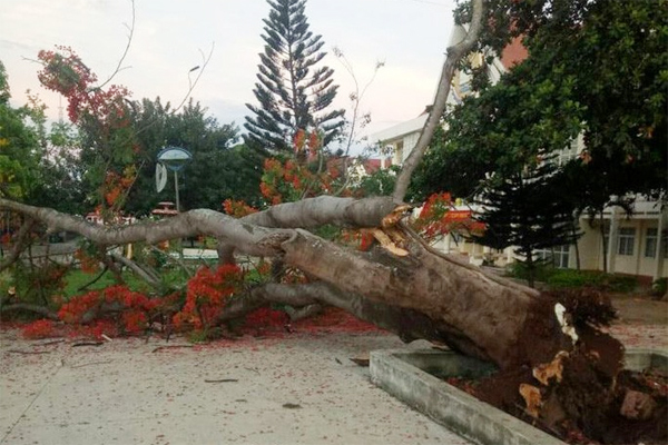 Hà Nội: Bàng hoàng phát hiện nam sinh tử vong trong tư thế treo cổ tại nhà riêng-2