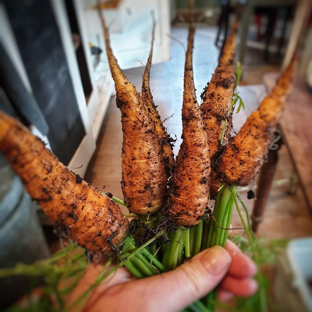 Ngôi nhà nhỏ với khu vườn đầy nắng và cuộc sống bình yên của gia đình 7 người ở ngoại ô thành phố-9