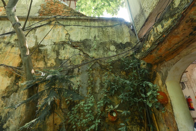 Biệt thự vườn rộng 700m2 của đại gia kim hoàn phố cổ Hà Nội một thời-4