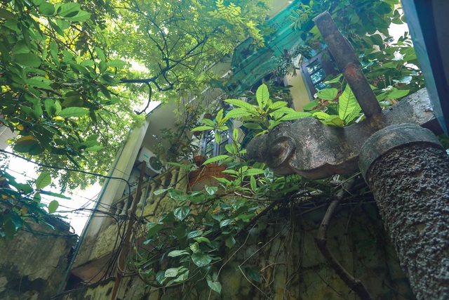 Biệt thự vườn rộng 700m2 của đại gia kim hoàn phố cổ Hà Nội một thời-5