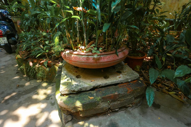 Biệt thự vườn rộng 700m2 của đại gia kim hoàn phố cổ Hà Nội một thời-6