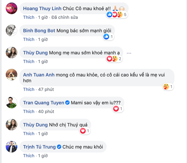 Mẹ Mai Phương Thuý bất ngờ nhập viện cấp cứu, Hoàng Thuỳ Linh và nhiều sao Việt gửi lời hỏi thăm-2