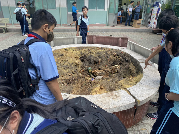 Quặn lòng những cánh thư bạn cùng lớp viết gửi nam sinh vừa ra đi vì cây phượng đổ: Tao có vẽ hộp cơm cho mày đấy-1