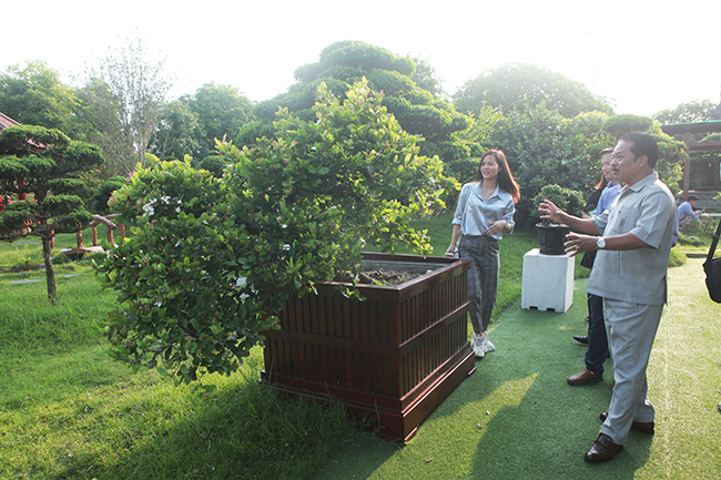 Dàn sơ ri khủng giá tiền tỷ của đại gia chơi cây cảnh khét tiếng Thái Nguyên-16