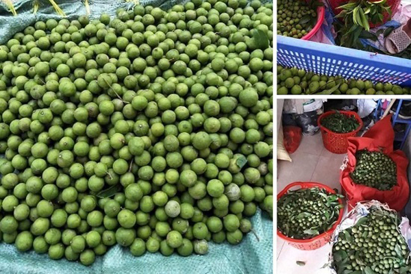 Sấu non đầu mùa giá 65 ngàn/kg, khách muốn mua nhiều tiểu thương cũng lắc đầu vì khan hàng-5