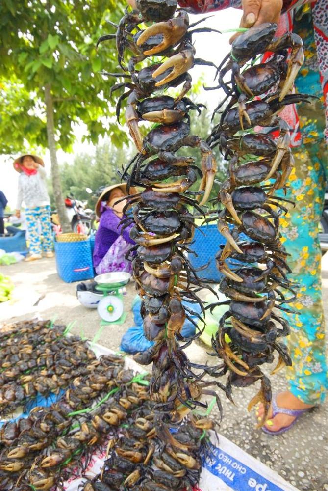 Thời tiết nắng nóng, tiểu thương bán cua đồng giá 130-150 ngàn đồng/kg, 8 giờ sáng đã hết sạch hàng-3