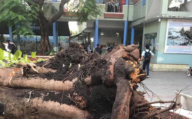 Giật mình với hàng loạt tai nạn học đường xuất phát từ những hiểm họa hiện hữu ngay trong trường lớp-1