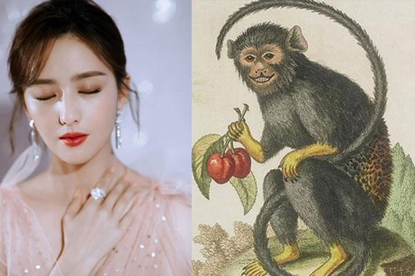 Top 3 con giáp dù vô tình hay cố ý vẫn thường xuyên khiến người đối diện cảm thấy bị tổn thương-2