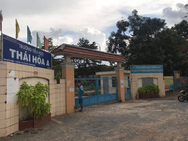 Bình Dương: Cây phượng trong sân trường bật gốc, ngã đổ ngay sau khi học sinh ra về-1