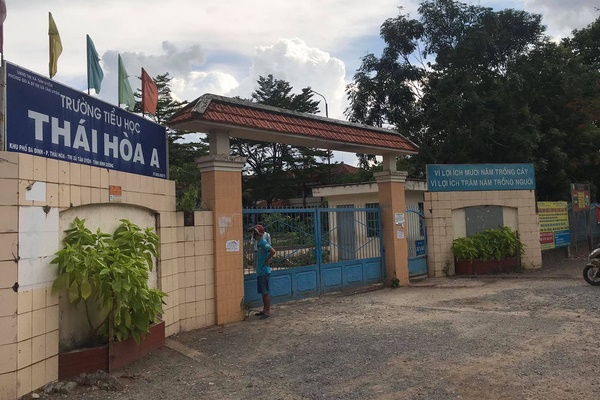 Lại thêm một cây phượng cao lớn bật gốc trong sân trường ở Đồng Nai-2