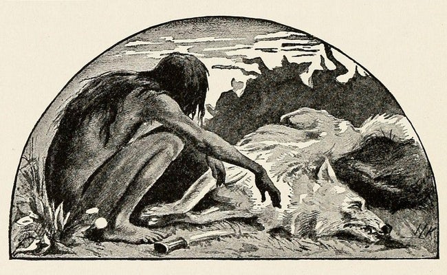 Nguyên mẫu đời thực của cậu bé rừng xanh: Không nói được tiếng người, sống như kẻ thiểu năng và chết trong bệnh tật sau 20 năm rời bầy sói-3