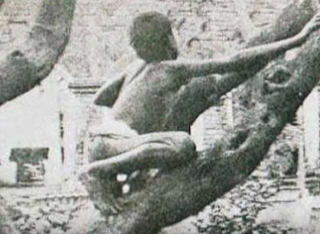 Nguyên mẫu đời thực của cậu bé rừng xanh: Không nói được tiếng người, sống như kẻ thiểu năng và chết trong bệnh tật sau 20 năm rời bầy sói-4