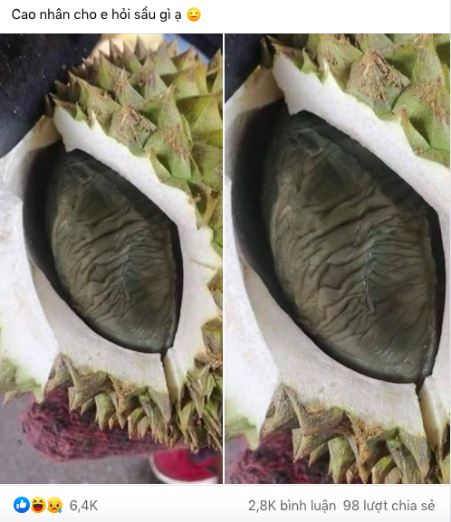 Vừa mở quả sầu riêng cô gái giật bắn người vì ngỡ một con chuột béo nằm bên trong, nhưng hóa ra lại là múi sầu riêng màu đen lần đầu thấy trong đời-1