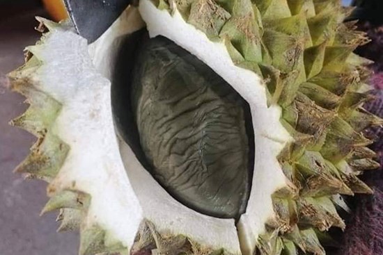 Vừa mở quả sầu riêng cô gái giật bắn người vì ngỡ một con chuột béo nằm bên trong, nhưng hóa ra lại là múi sầu riêng màu đen lần đầu thấy trong đời