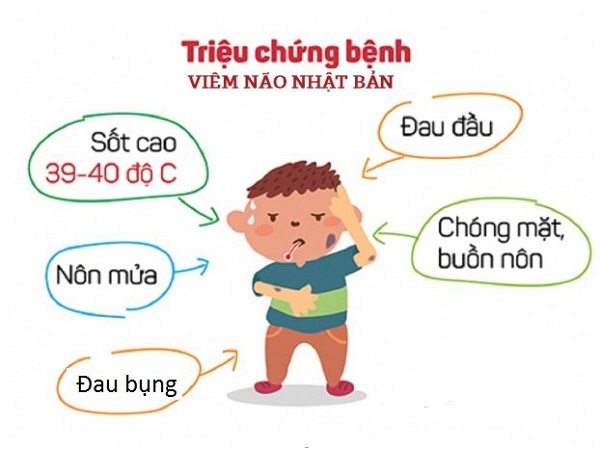 Bắt đầu vào mùa viêm não Nhật Bản, cha mẹ cần phân biệt triệu chứng sốt do viêm não Nhật Bản và bệnh lý khác để phòng bệnh cho con-2