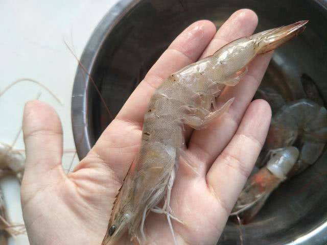 Khi mua tôm, chọn con thẳng hay cong, đầu bếp mách điều ít ai ngờ tới-1