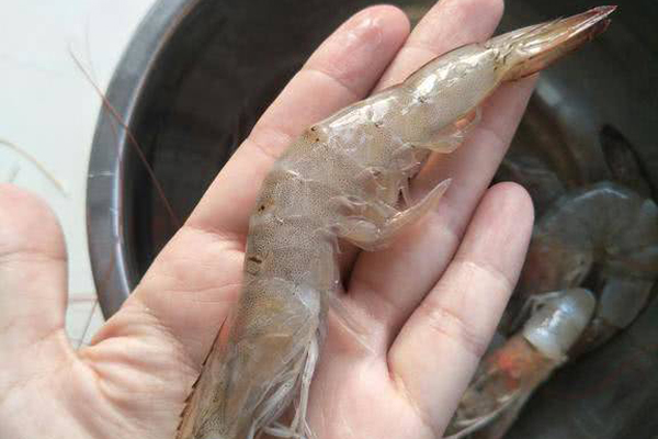 Cách chọn măng tươi ngon, không ngâm hóa chất-2