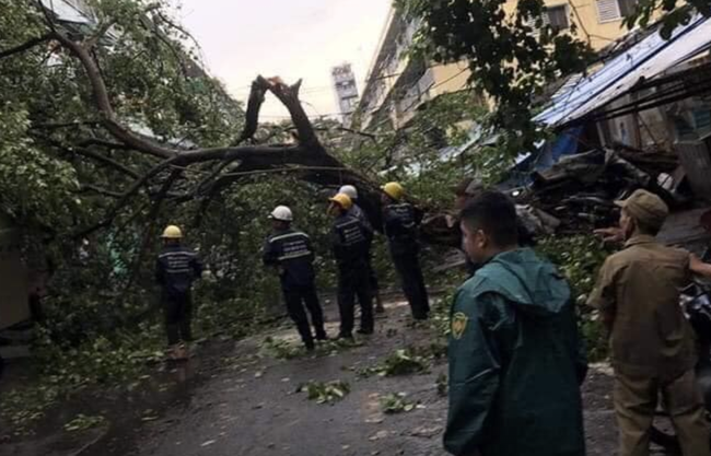 TP.HCM: Sau cơn mưa lớn kèm gió giật, nhiều cây xanh lại gãy đổ đè nhà dân, đè cả người đi đường-1