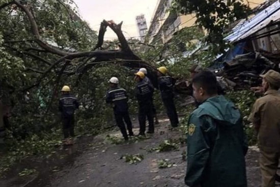 TP.HCM: Sau cơn mưa lớn kèm gió giật, nhiều cây xanh lại gãy đổ đè nhà dân, đè cả người đi đường