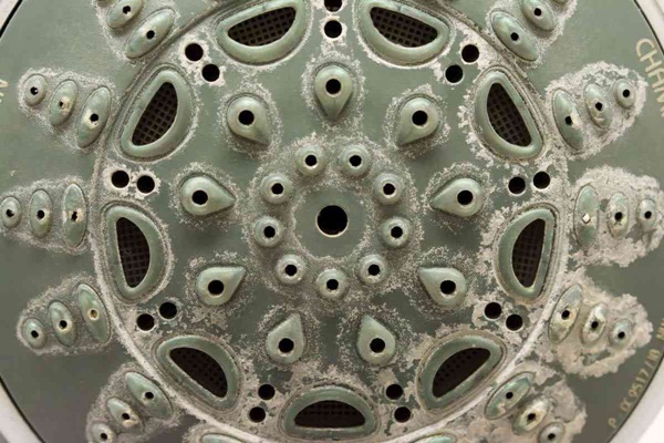 Nhiều người đang tắm dưới vòi hoa sen đầy cặn bẩn mà không biết đây là cách vệ sinh nó-1