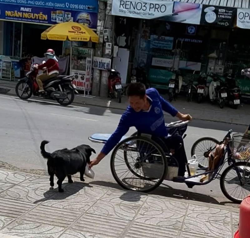 CLIP: Rụng tim” với chú chó xoáy Phú Quốc thay chủ tật nguyền xếp hàng nhận gạo-4