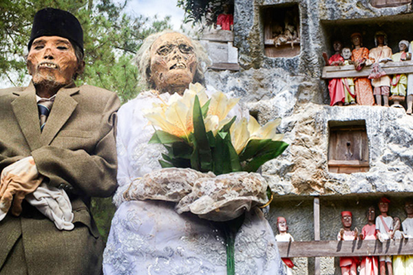 Khu rừng tự sát: Nơi tăm tối và im lặng tuyệt đối với những câu chuyện rùng rợn đầy ám ảnh-6