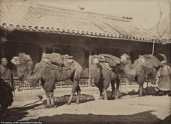 Loạt ảnh triều nhà Thanh nửa cuối thế kỷ 19: Khoảng cách giữa giới thượng lưu, trung lưu và bình dân khiến người xem phải ngỡ ngàng-15