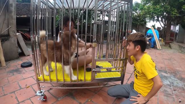 Con trai Bà Tân Vlog gây tranh cãi dữ dội khi nhốt em gái vào chuồng chó để trả thù-1