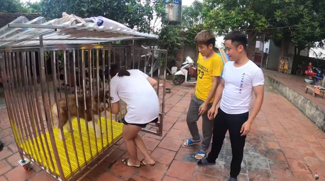 Con trai Bà Tân Vlog gây tranh cãi dữ dội khi nhốt em gái vào chuồng chó để trả thù-4