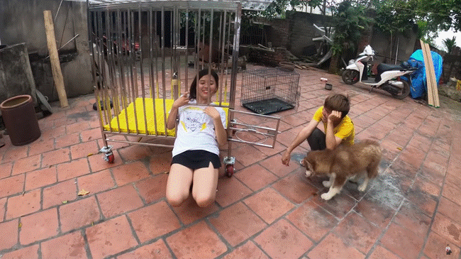 Con trai Bà Tân Vlog gây tranh cãi dữ dội khi nhốt em gái vào chuồng chó để trả thù-6