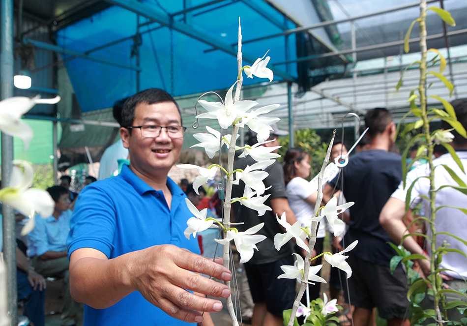 Chiêm ngưỡng những giỏ hoa lan đột biến hiếm có giá hàng trăm triệu-3
