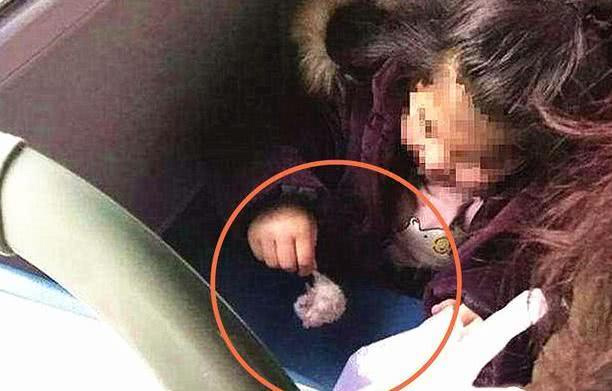 Bé gái 5 tuổi tra tấn con chuột hamster trên xe bus, ai nấy lắc đầu vì người mẹ ngồi cạnh đã không biết dạy cho con-2