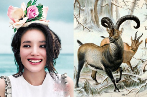 Tháng 6 hoan hỉ, 3 con giáp này chuẩn bị túi đựng tiền thôi vì vận may sắp ập đến với bạn rồi đó-3