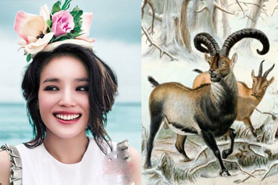 Tháng 6 hoan hỉ, 3 con giáp này chuẩn bị túi đựng tiền thôi vì vận may sắp ập đến với bạn rồi đó