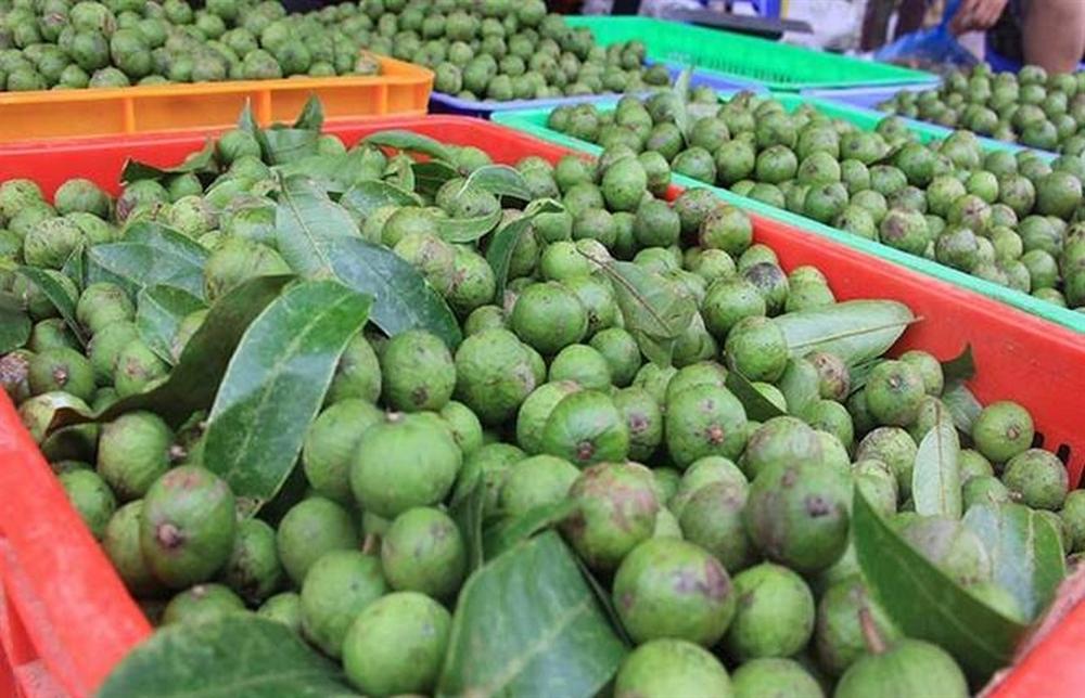 Sấu non đầu mùa giá 65 ngàn/kg, khách muốn mua nhiều tiểu thương cũng lắc đầu vì khan hàng-1