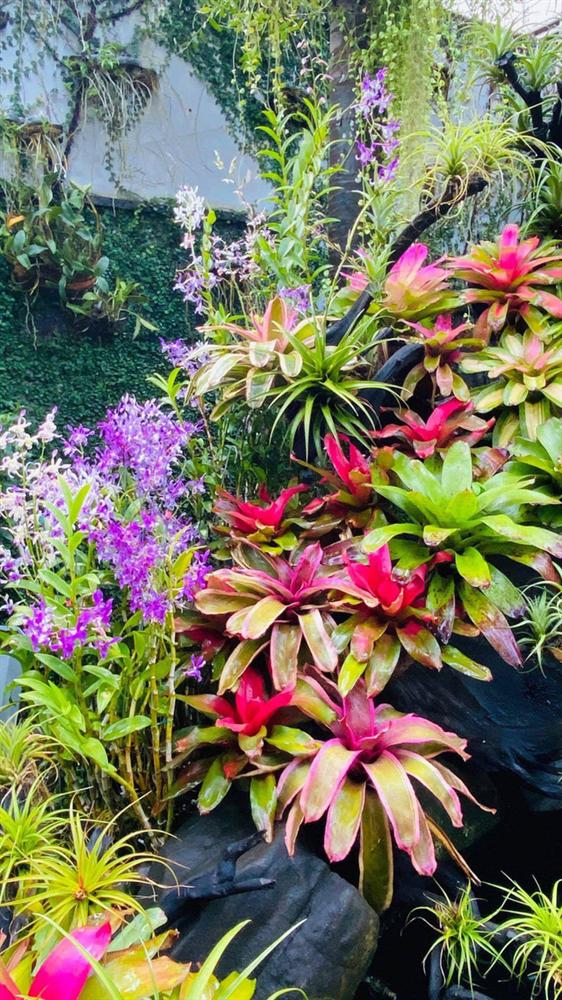 Ngỡ ngàng với khu vườn 300m2 đẹp như tiên cảnh giữa TP Cần Thơ-4