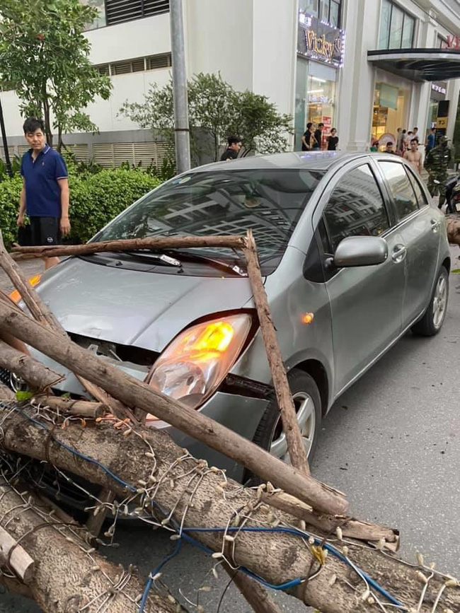 Hà Nội: Cây xanh bật gốc đè trúng ô tô đang chạy trên đường giữa cơn giông bất chợt-2