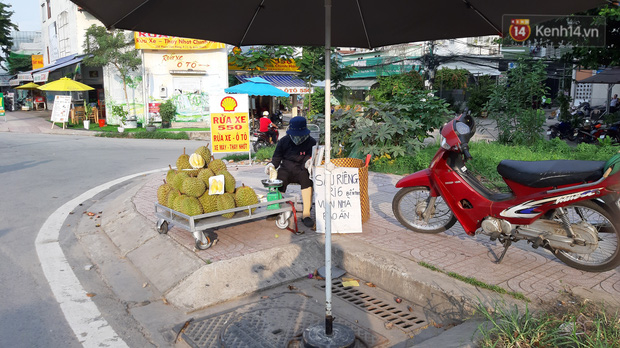 Sầu riêng bao ăn chất đống khắp vỉa hè Sài Gòn với giá siêu rẻ chỉ 50.000 đồng/kg: Gặp hạn mặn nên bán được đồng nào hay đồng đó!-1