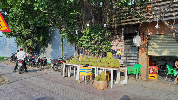 Sầu riêng bao ăn chất đống khắp vỉa hè Sài Gòn với giá siêu rẻ chỉ 50.000 đồng/kg: Gặp hạn mặn nên bán được đồng nào hay đồng đó!-7