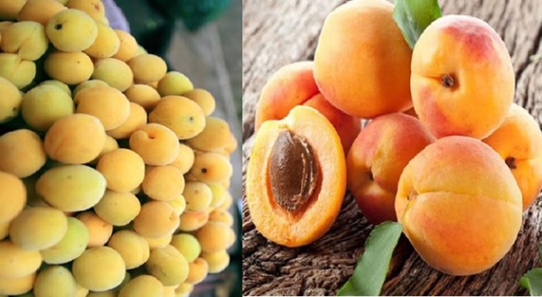 4 loại thực phẩm đầu bảng có thể giúp giảm nguy cơ mắc ung thư, ai cũng nên ăn mỗi ngày-1