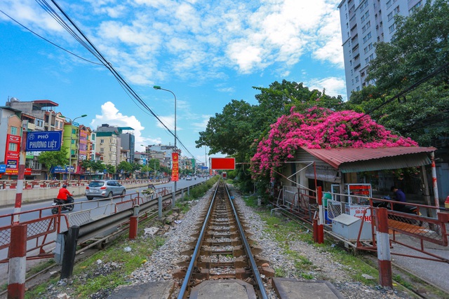 Choáng ngợp những ngôi nhà phủ kín hoa giấy, vạn người mê độc nhất Hà Nội-1