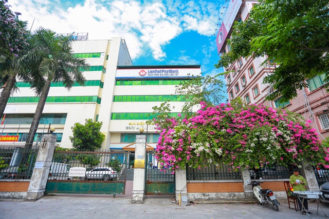 Choáng ngợp những ngôi nhà phủ kín hoa giấy, vạn người mê độc nhất Hà Nội-3