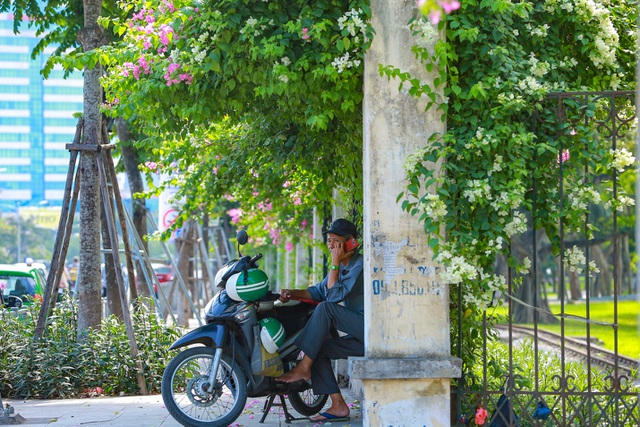 Choáng ngợp những ngôi nhà phủ kín hoa giấy, vạn người mê độc nhất Hà Nội-6