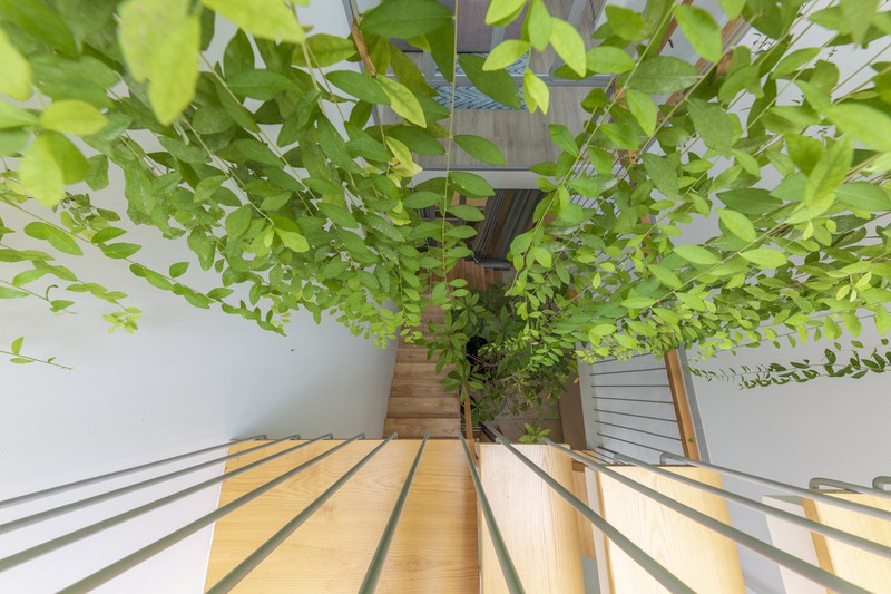 Ngắm ngôi nhà cong độc đáo giữa Sài Gòn-12