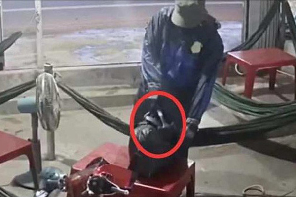 Nữ cựu thượng uý công an gài ma tuý lên xe ô tô ép người khác vào tù kháng cáo, kêu oan-3